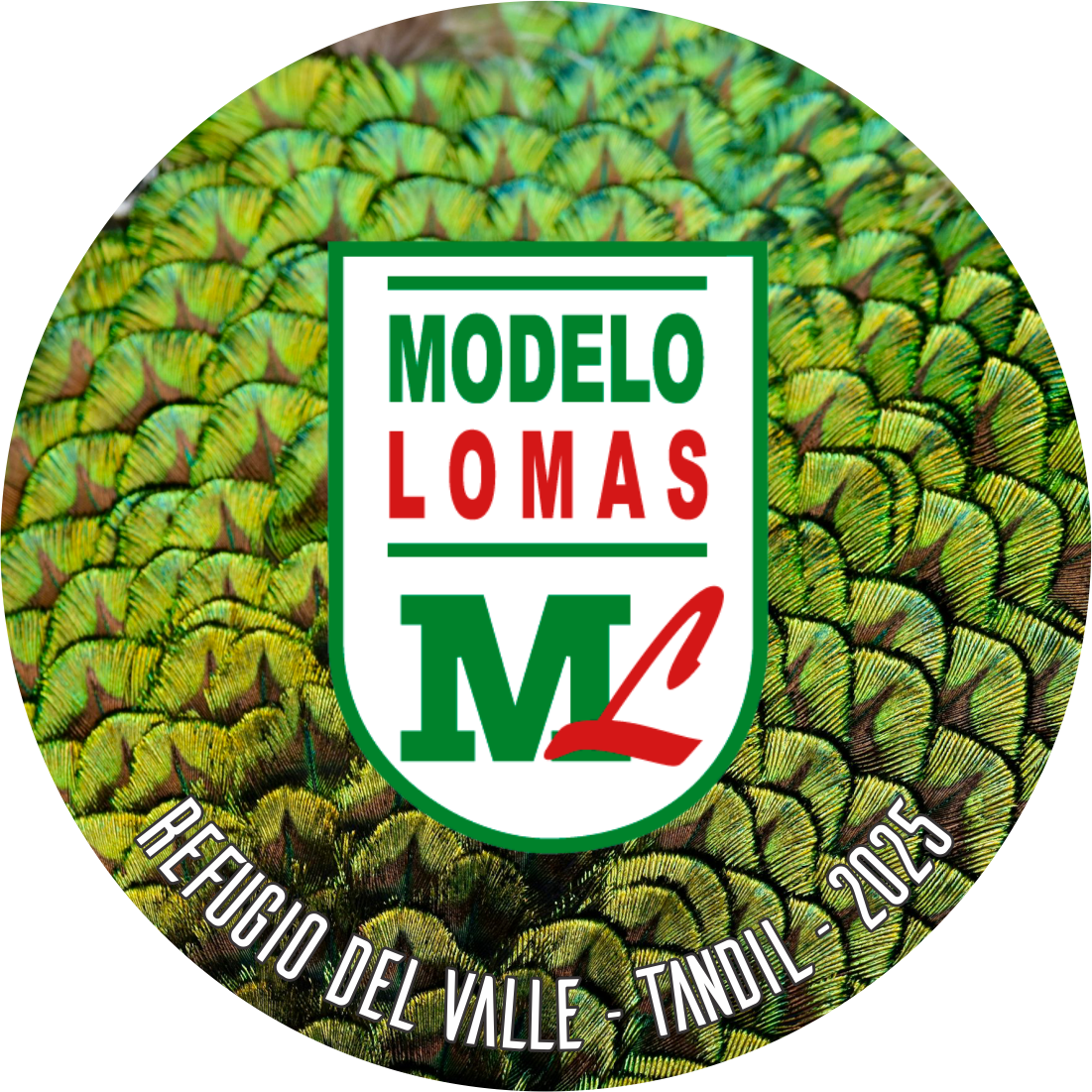 Modelo Lomas
